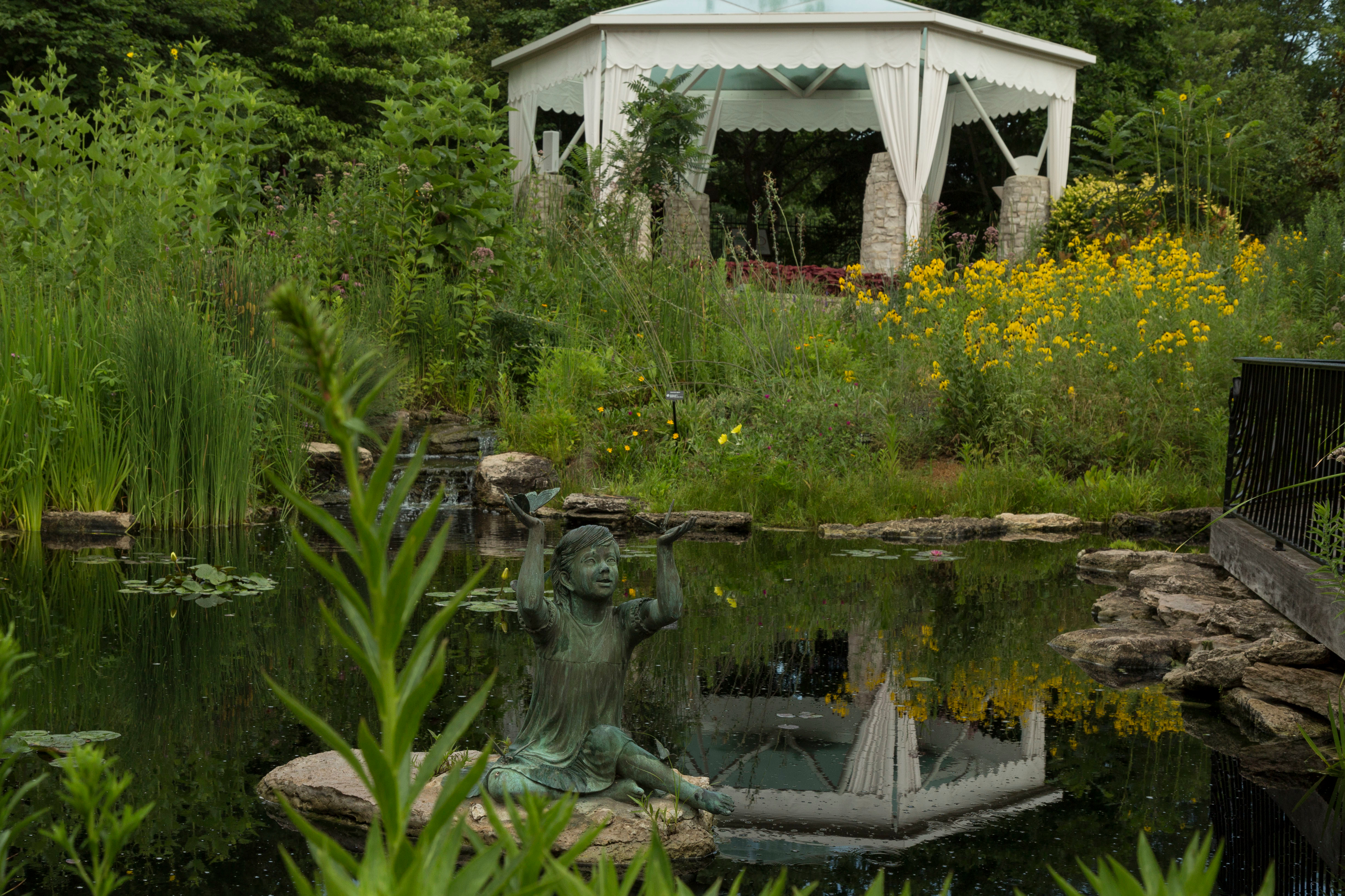 Native Butterfly Garden